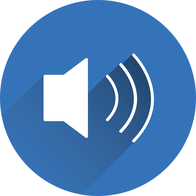Screen-Reader-Access